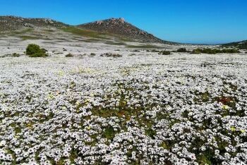 West Coast National Park, Cape West Coast